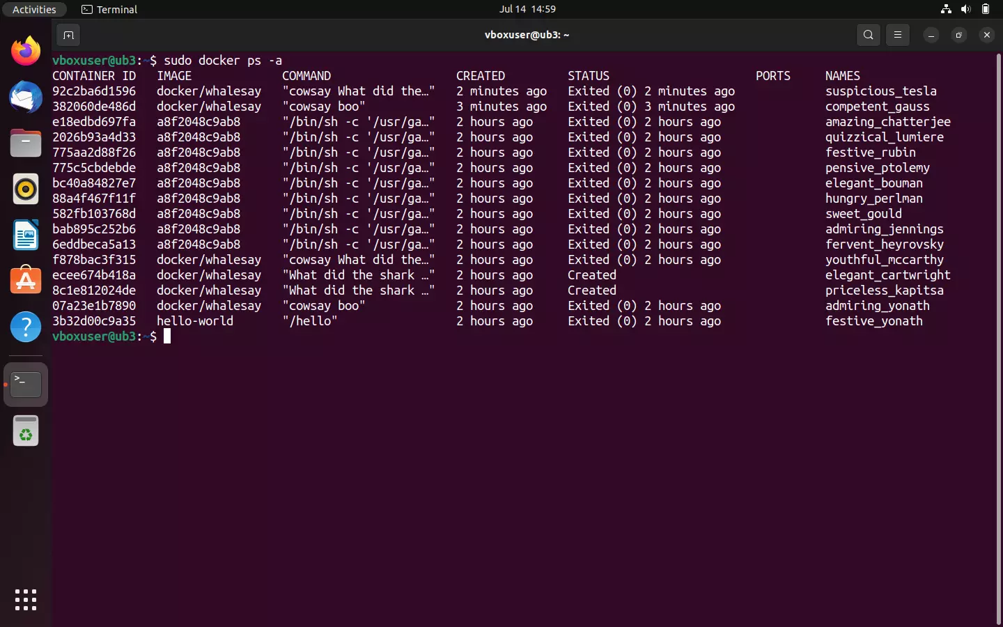 Billede: Overview of all containers on the local system