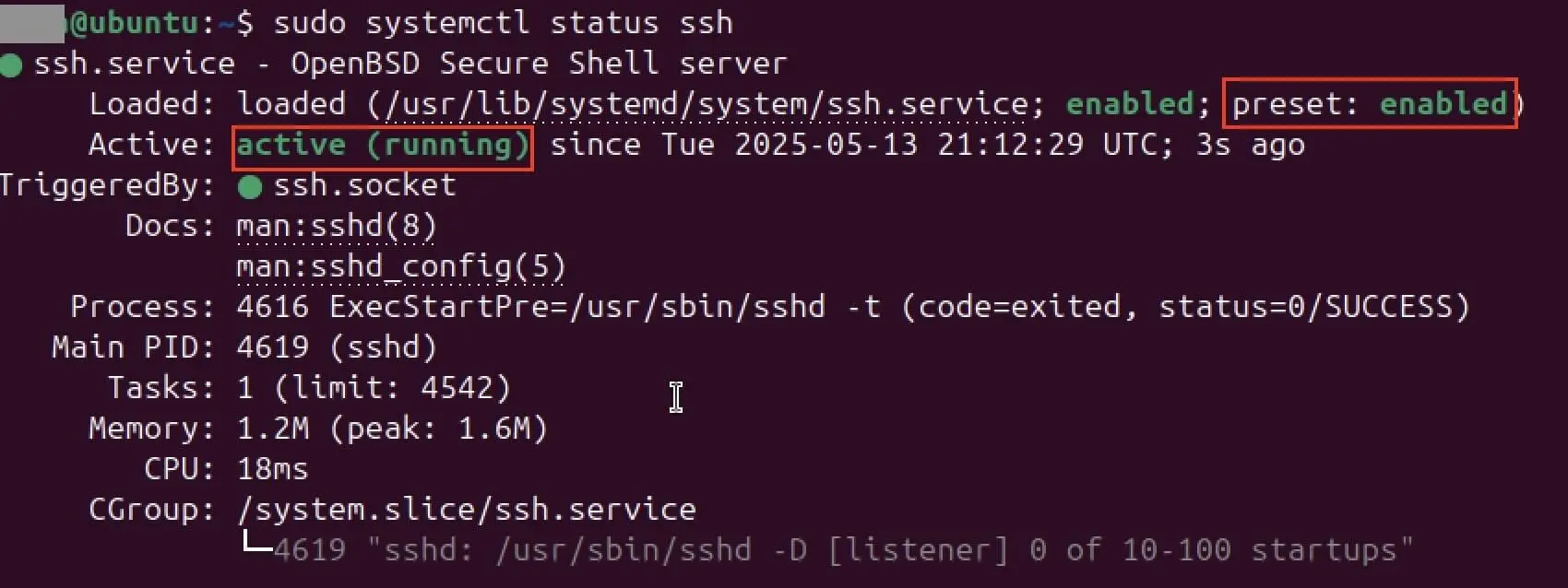 Billede: Screenshot of the status of SSH in the terminal