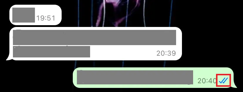 Billede: Screenshot of a sent message status on WhatsApp