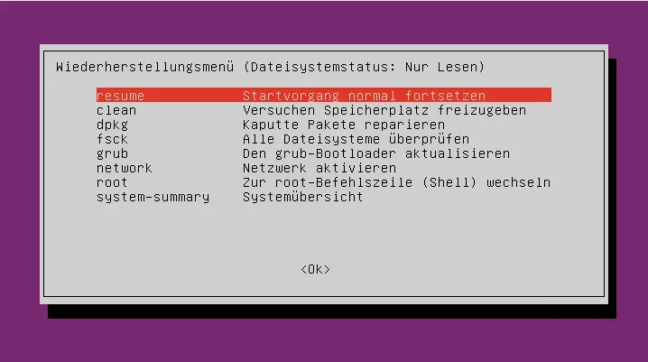 Bild: GRUB Wiederherstellungsoptionen