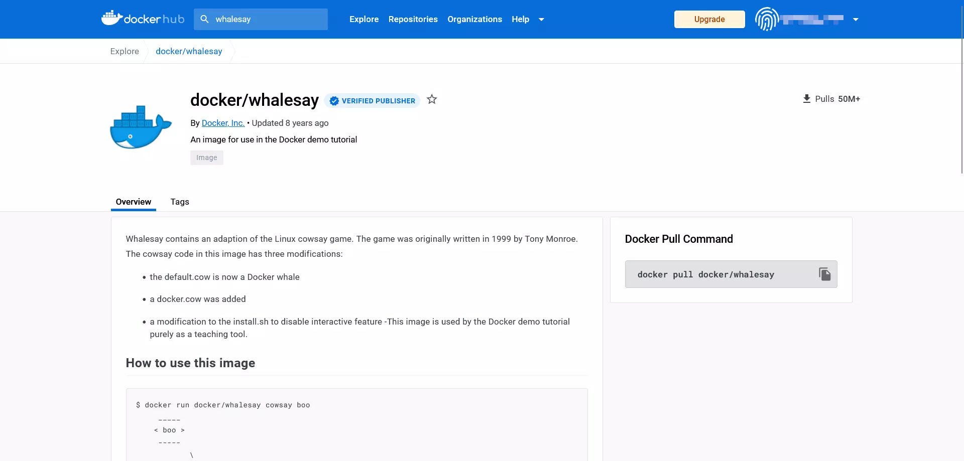Bild: Webansicht eines Docker-Repositorys