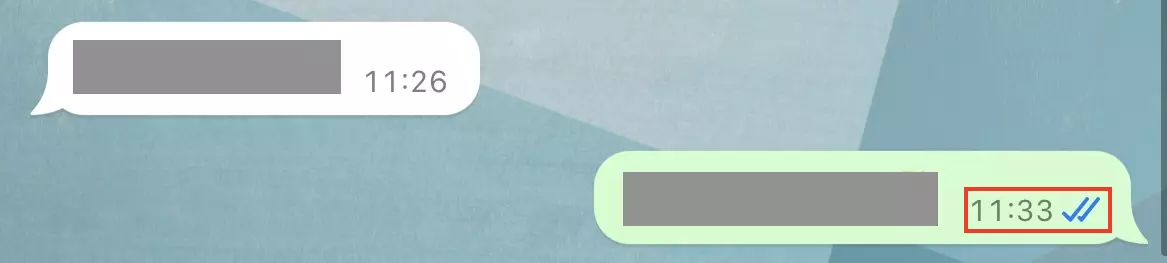 Bild: Screenshot des Zustellungsstatus einer Nachricht in WhatsApp