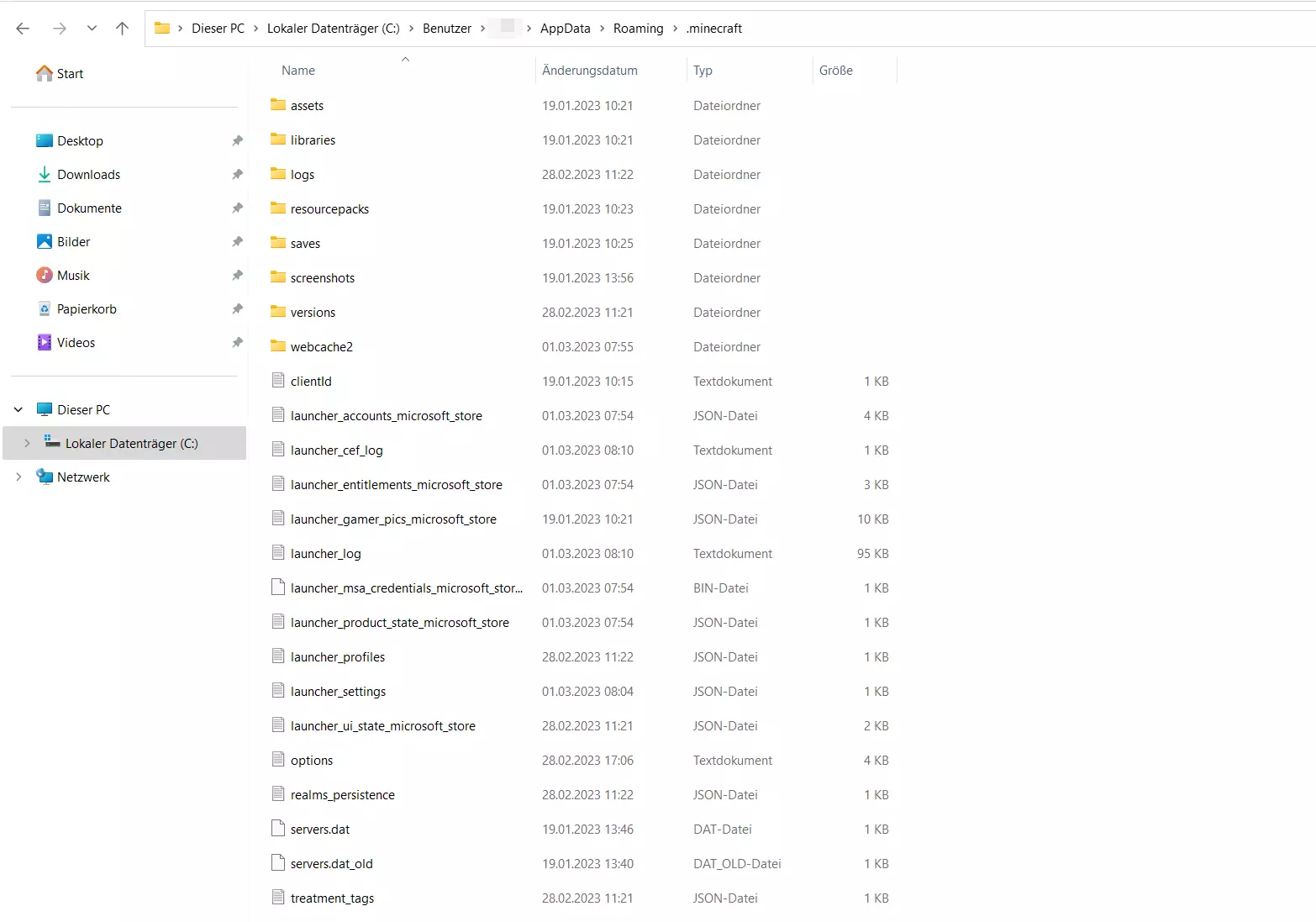 Bild: Ansicht des .minecraft-Ordners im AppData-Ordner