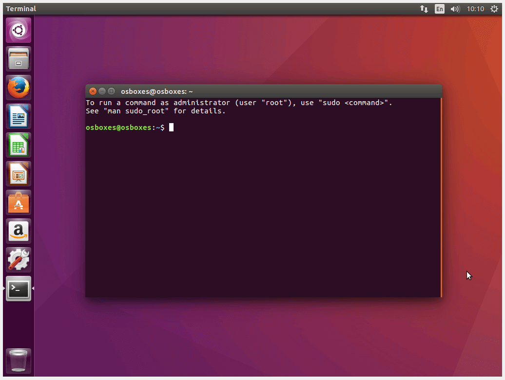 The terminal of Ubuntu Xenial 16.04 (LTS)
