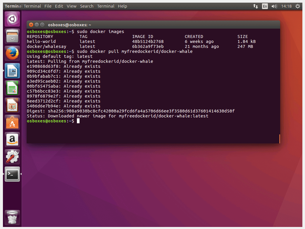 Ubuntu terminal: Download from the Docker hub