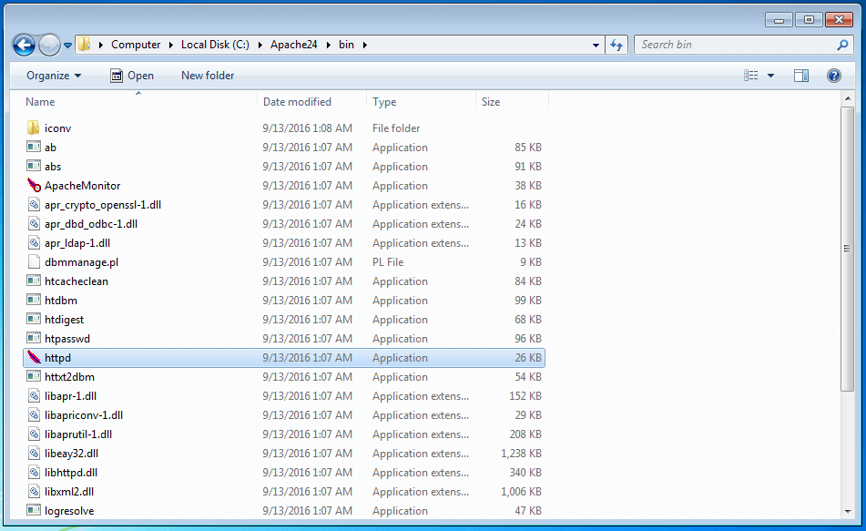 Bin exe что это. Apache веб сервер.