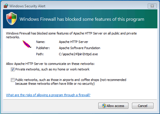Windows security notice: Firewall blocks program functions
