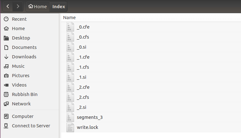 Apache Lucene index files