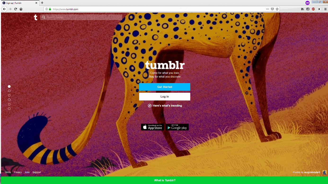 Website of Tumblr