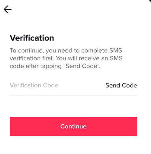 Delete TikTok: input screen for the confirmation code