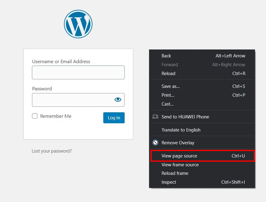 WordPress login screen with “View page source” option