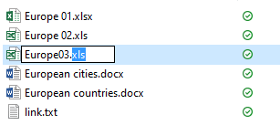Excel files in a list view: The name field of one of the files has been opened for renaming