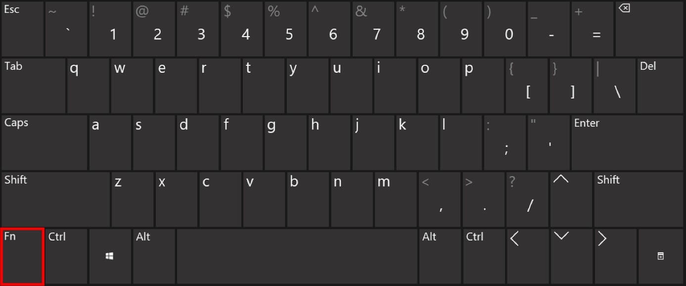Fn key: the function key on a Windows keyboard