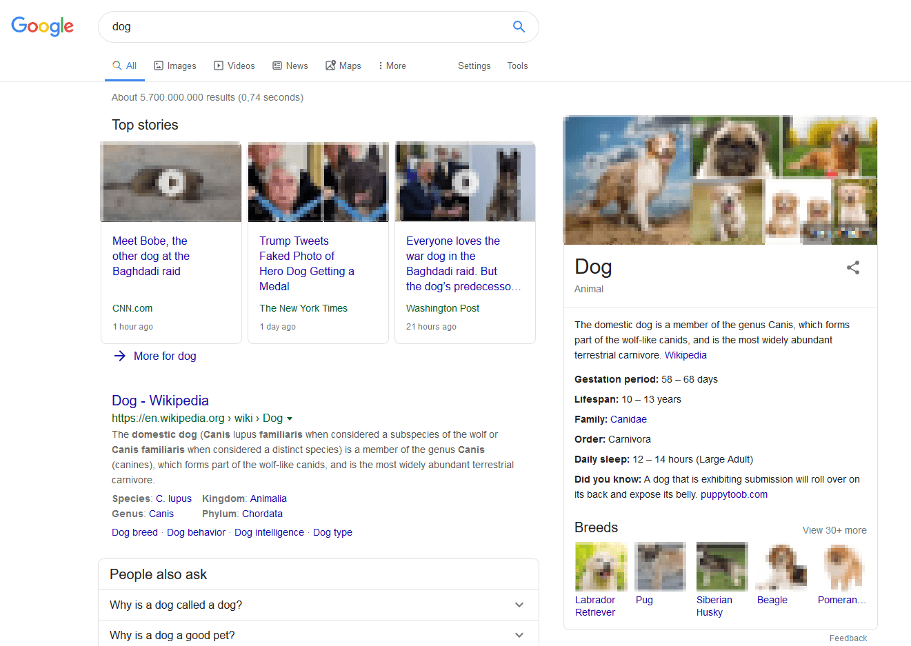 Google’s Knowledge Graph for the search query “dog”