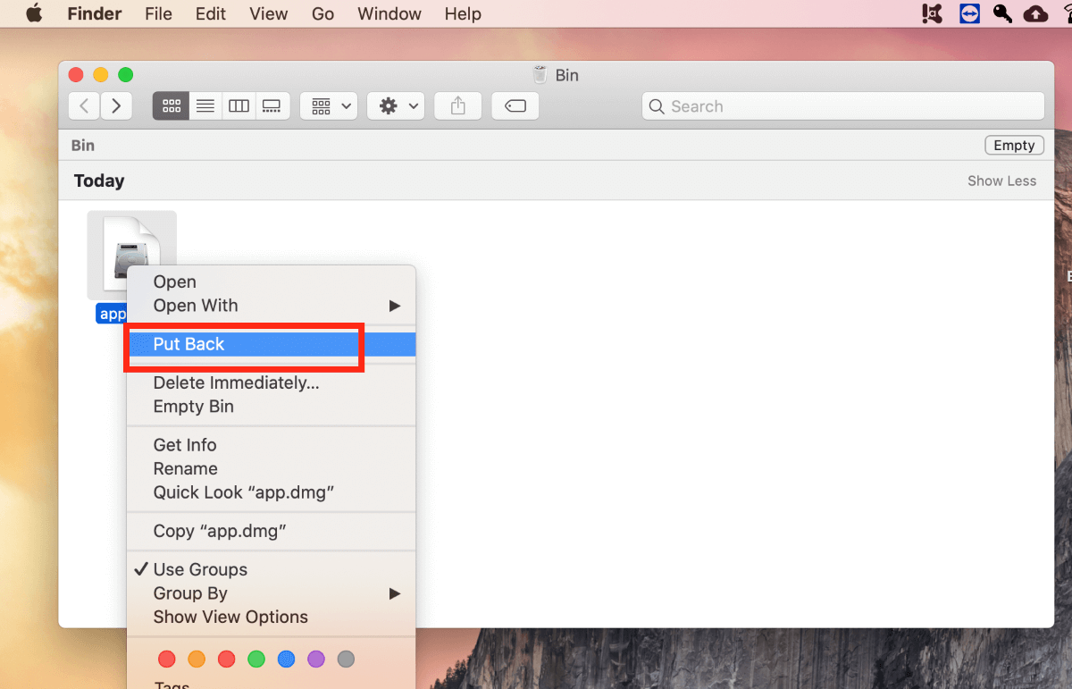 Selecting a file for recovery from Trash on a Mac