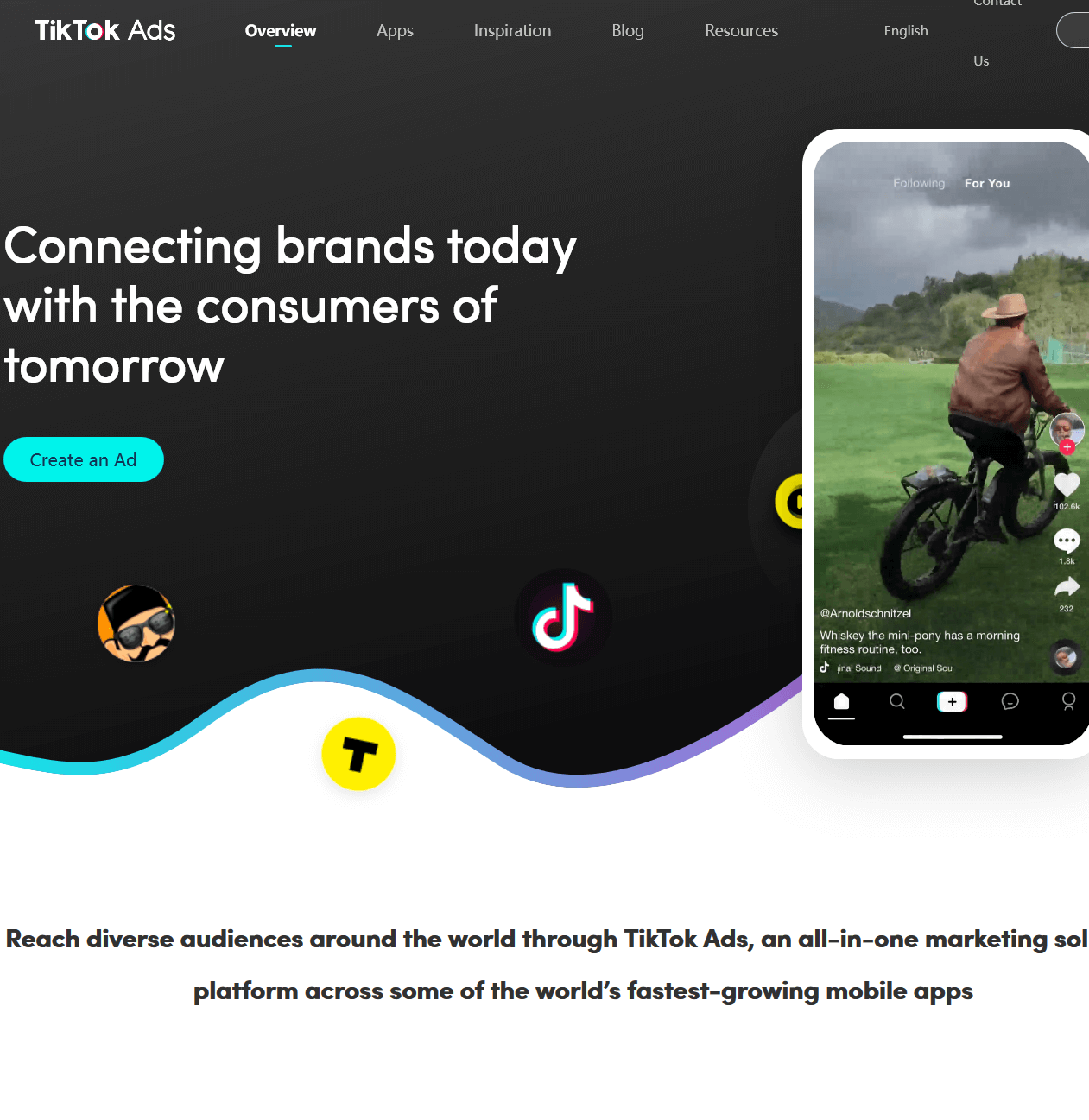 TikTok Ads, TikTok’s advertising service