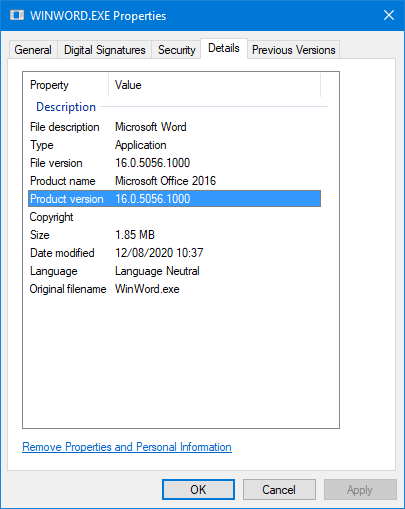 Properties of the WINWORD.EXE file 