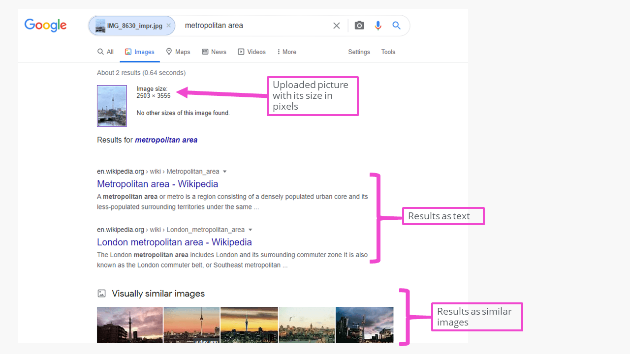 Reverse image search: Google Image results