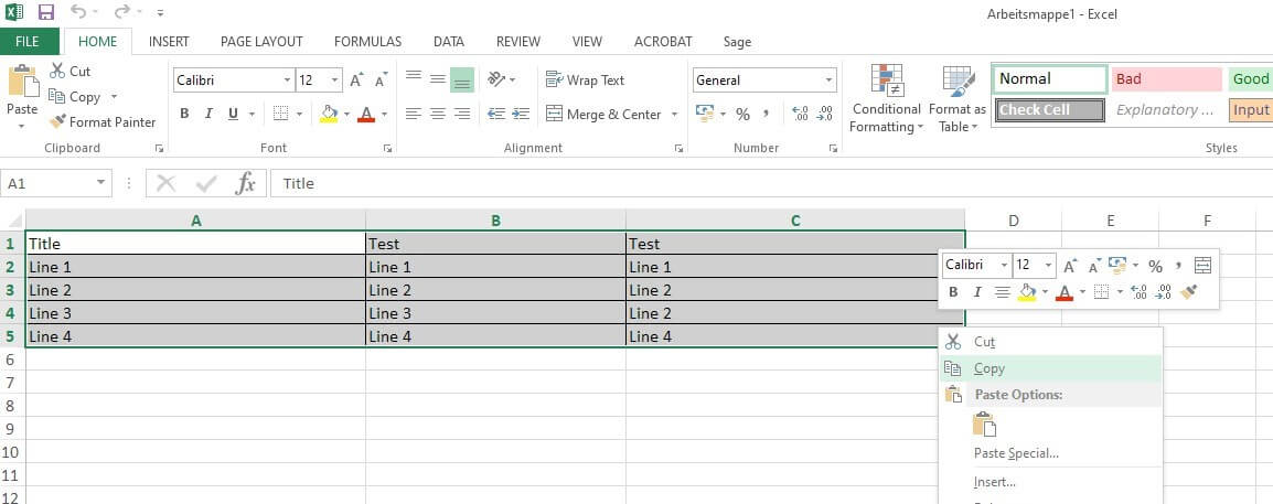 Select and copy the Excel spreadsheet