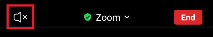 Check that the Zoom speaker is activated and no X is visible