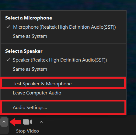 Click the arrow next to the microphone icon to open the audio settings