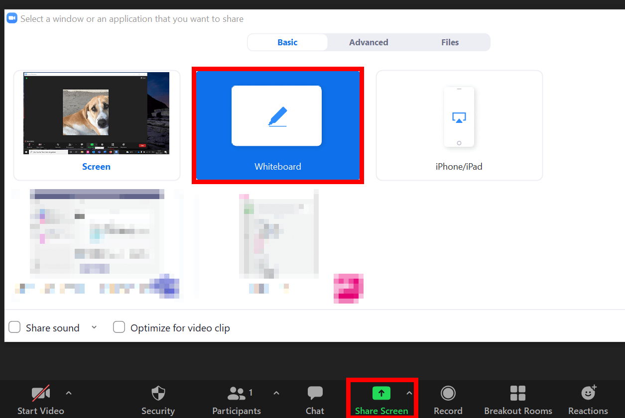 Screen sharing with Zoom whiteboard option