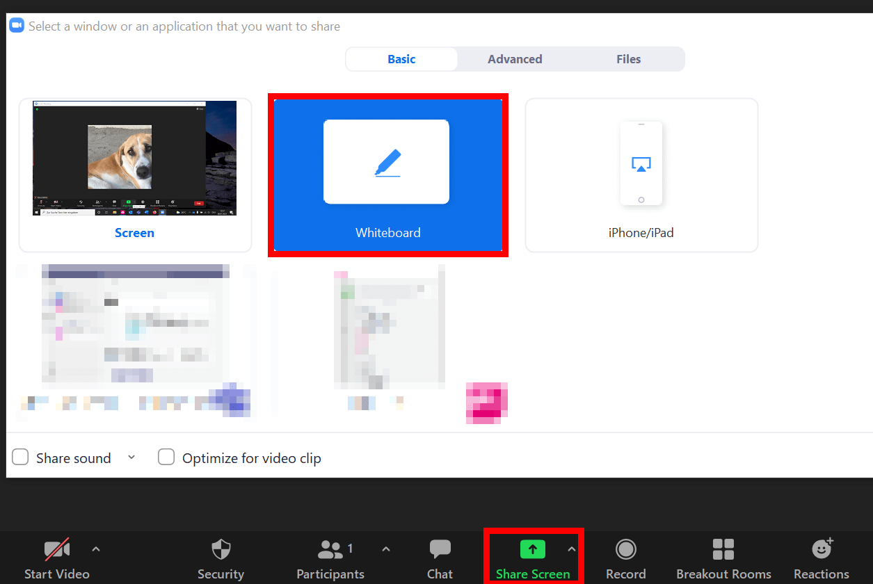 Zoom Whiteboard  How to use Whiteboard in Zoom - IONOS