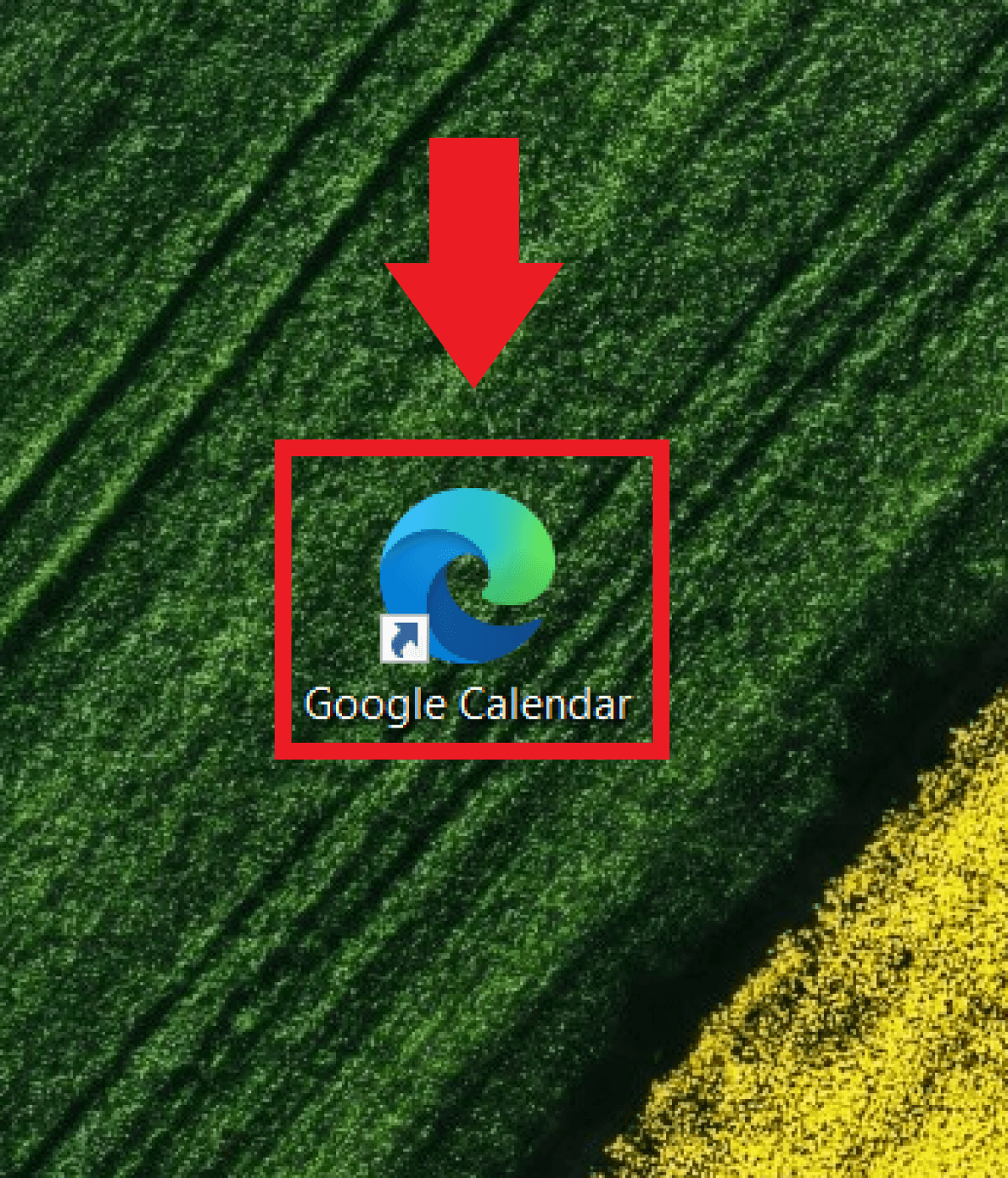 Add Google Calendar to your desktop IONOS