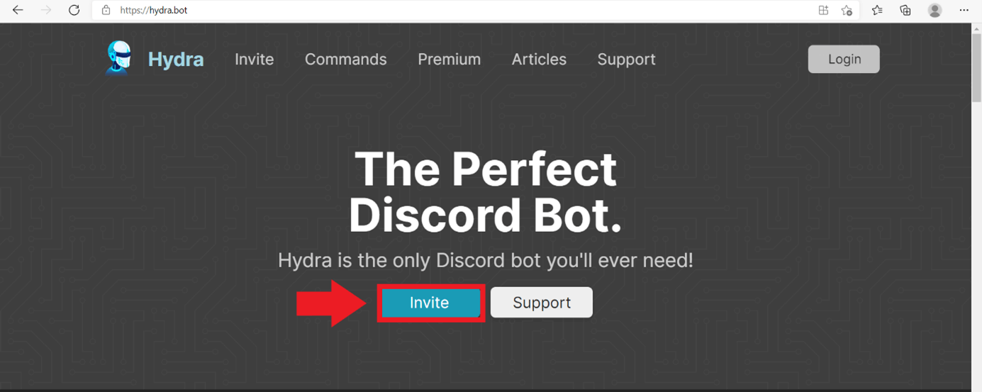 How to Set Up Octave Discord Bot Commands?