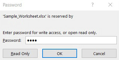 Excel: Password query for read only file