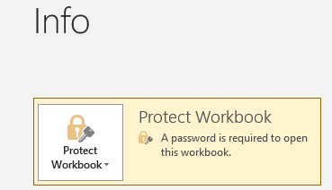 Excel shows that the workbook is now password-protected