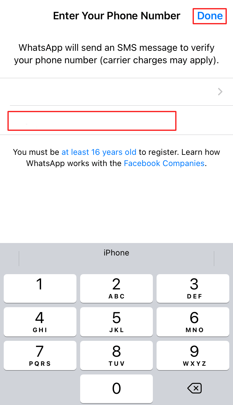 Input window for your phone number