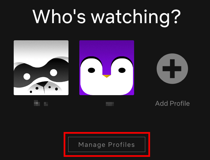 Netflix browser version, with the “Manage Profiles” button at the bottom