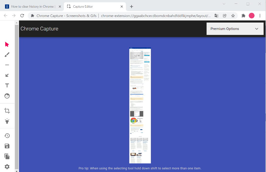 Screenshot of the Chrome Capture editor