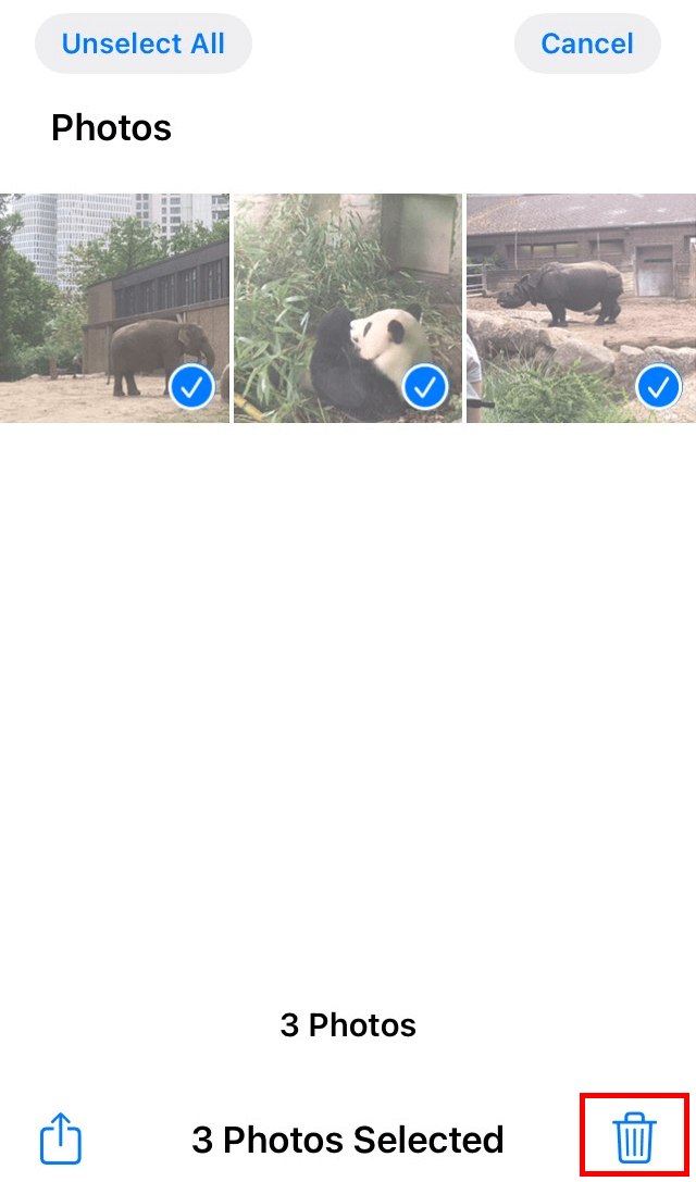 Screenshot of iPhone Photos app