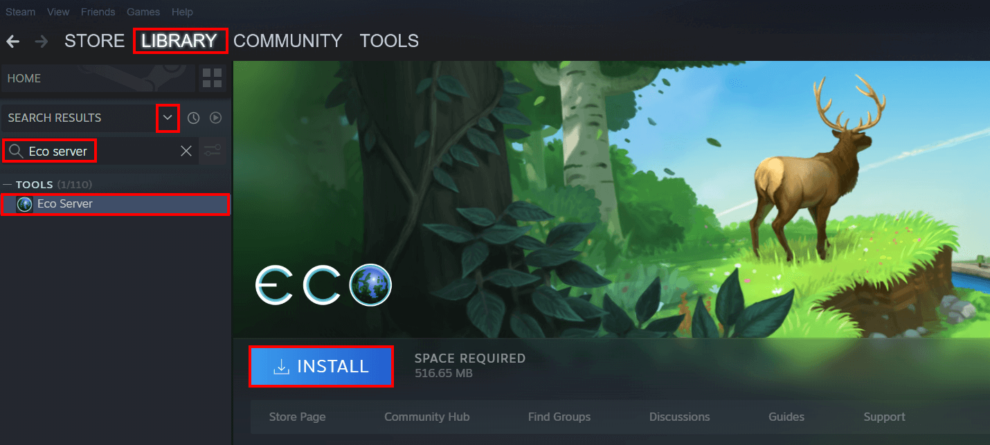 Steam Library: Installing the Eco server software