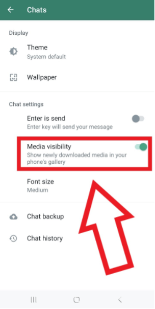 Android screenshot, “Media visibility” enabled