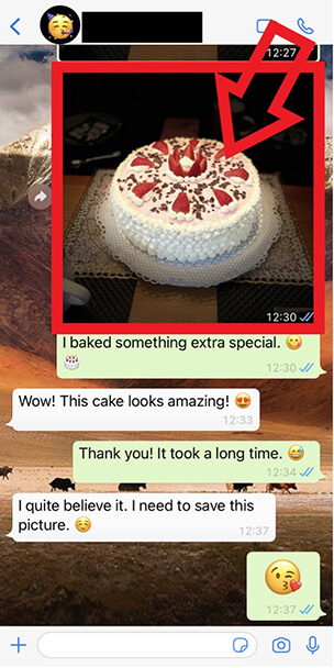 iPhone screenshot of WhatsApp chat with photo of cake
