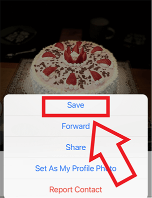 iPhone screenshot of “Save” option after selecting a WhatsApp photo
