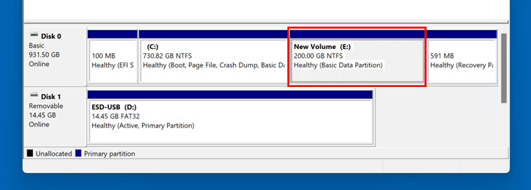 Windows 11 Disk Management: Newly Added Partition