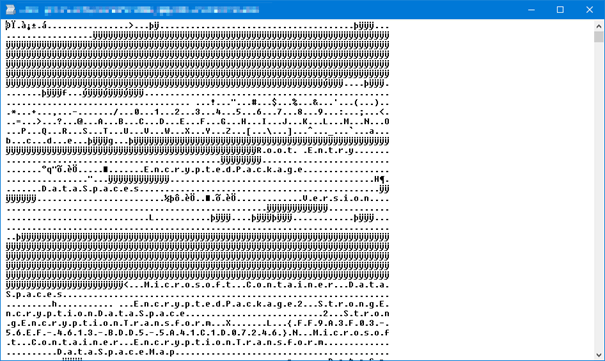 Encrypted document in a file viewer