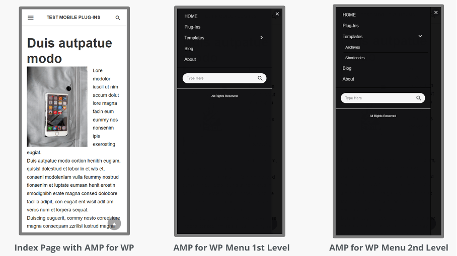 Screenshots of test website with AMP for WP