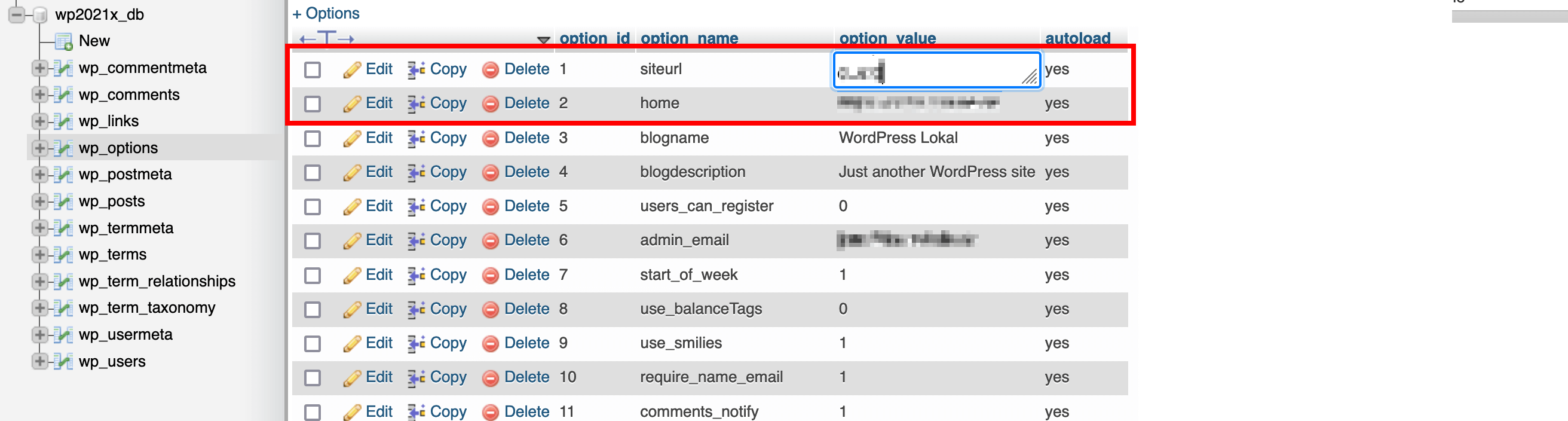 wp_options in the WordPress database