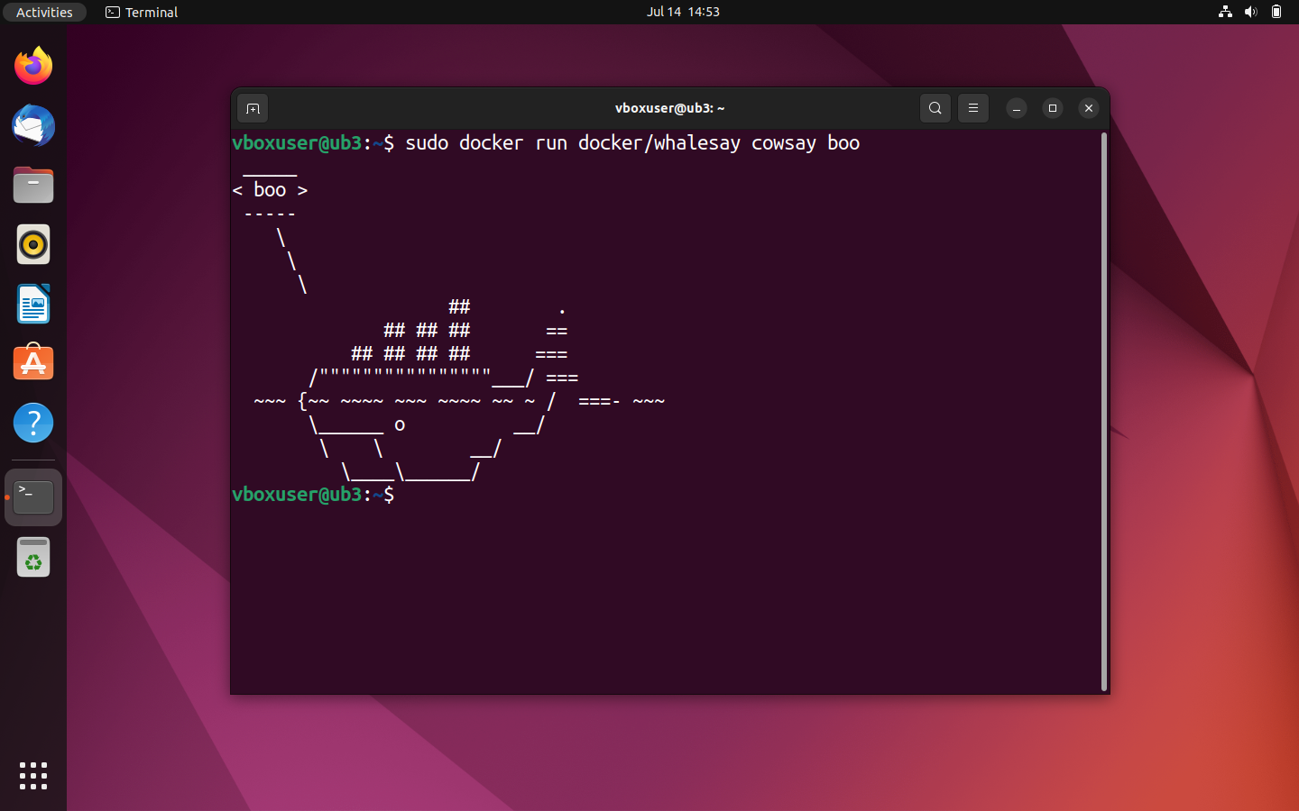 Terminal output of the container docker/whalesay: The whale says “boo” Terminal output of the container docker/whalesay: The whale says “boo”