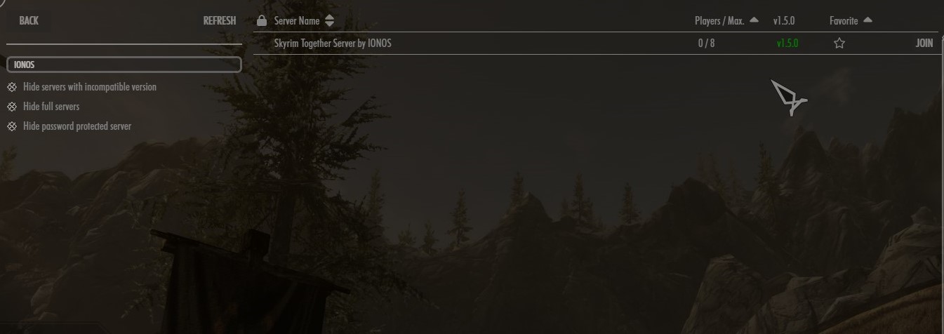 Your Skyrim Together server in the public server listing