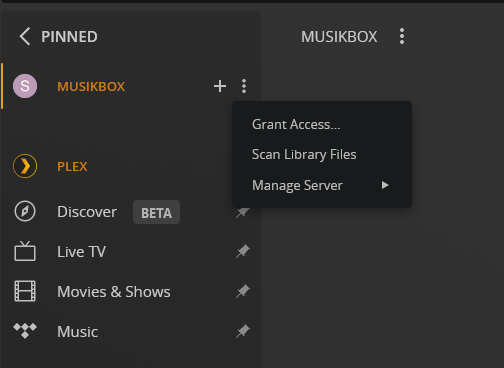 Path to manage the Plex server and change settings