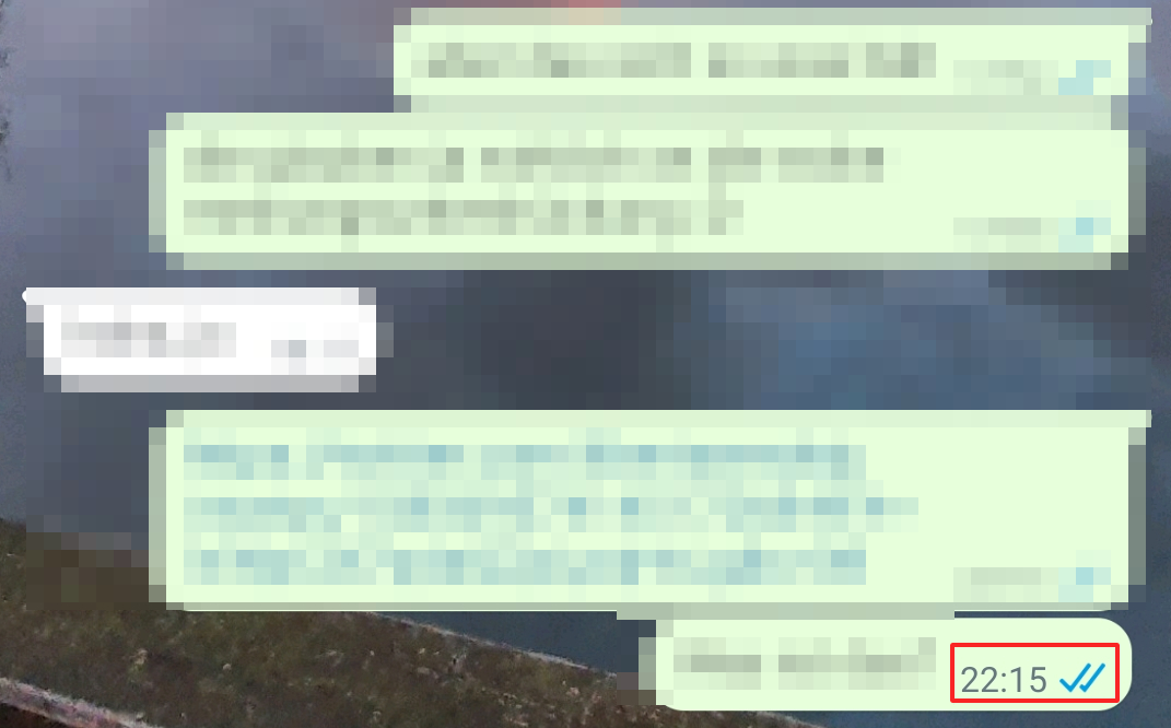 What the Check Marks Mean on WhatsApp for Message Status