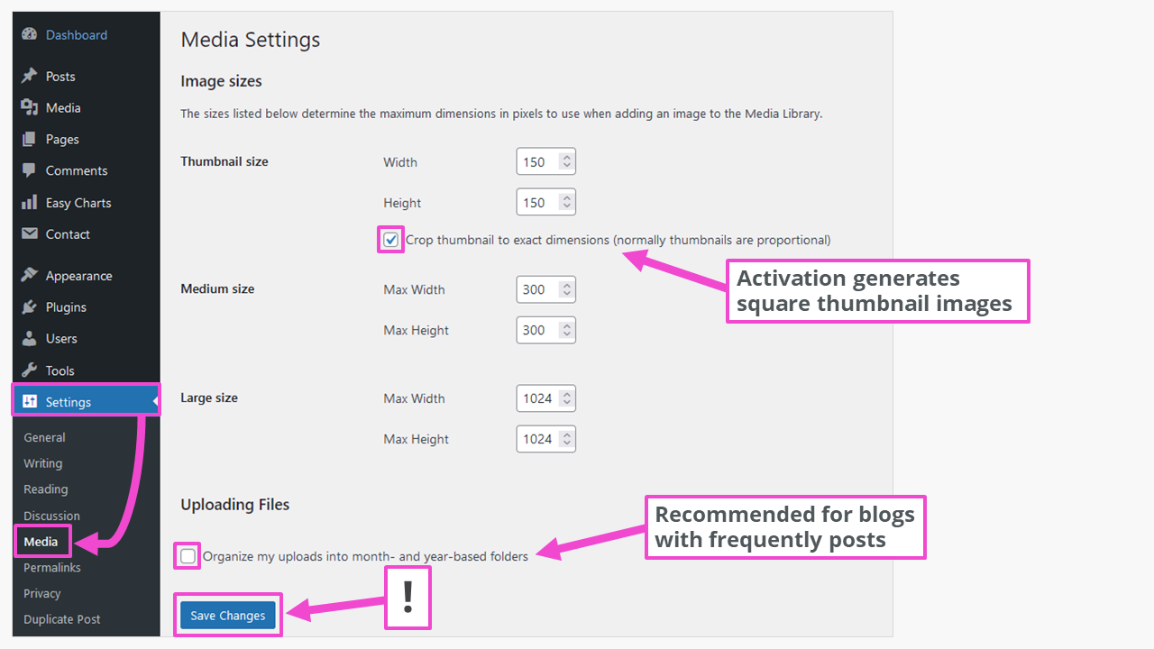 How To Properly Size Images in WordPress (PSI Item)