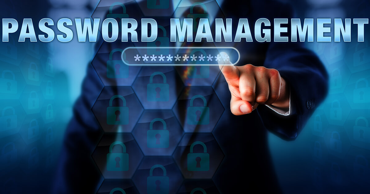 Wordpress Wordpress