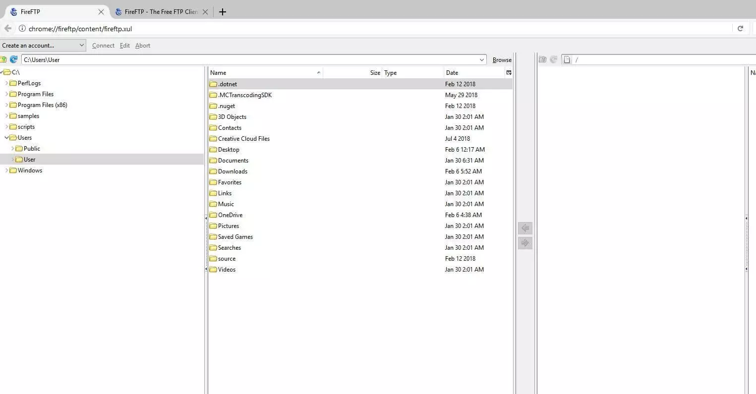 Image: FireFTP extension in Waterfox browser